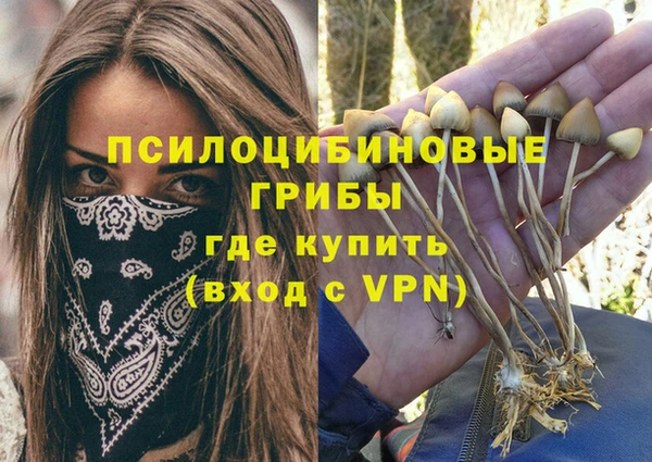 амфетамин Алексин