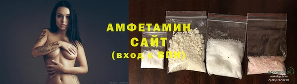 ECSTASY Алзамай