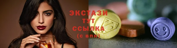 ECSTASY Алзамай