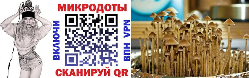 Псилоцибиновые грибы мицелий  где можно купить   Сысерть 