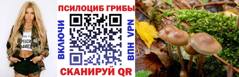 Псилоцибиновые грибы GOLDEN TEACHER Сысерть